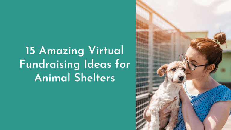 15 Amazing Virtual Fundraising Ideas for Animal Shelters