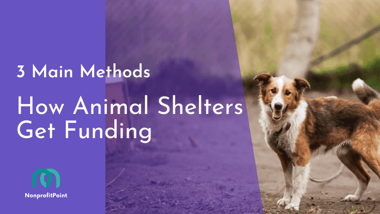 How Animal Shelters Get Funding: The 3 Main Methods and How They Compare