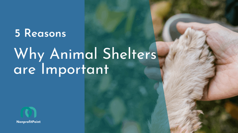 5 Reasons Why Animal Shelters are Important for our Community