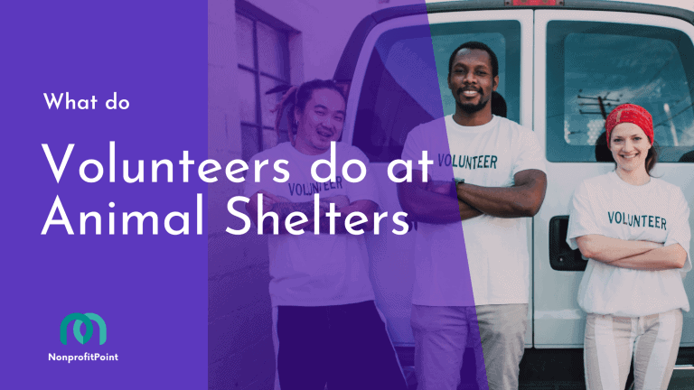 What Do Volunteers Do at Animal Shelters? A Look at the Role of a Volunteer