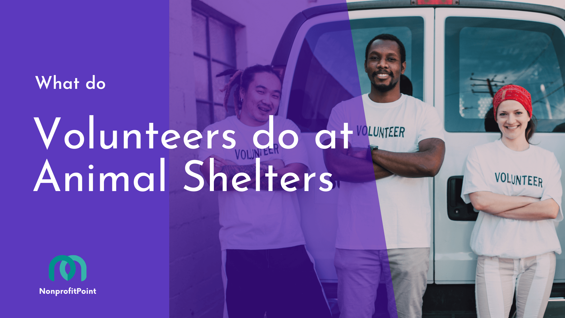 volunteers at animal shelters