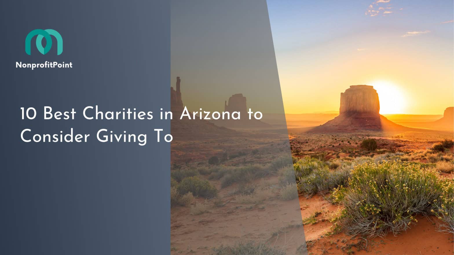 10 Best Charities in Arizona to Consider Giving To