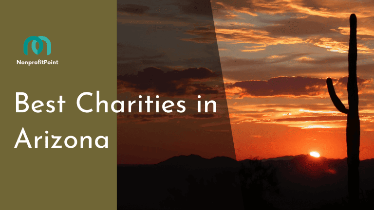 10 Best Charities in Arizona to Consider Giving To
