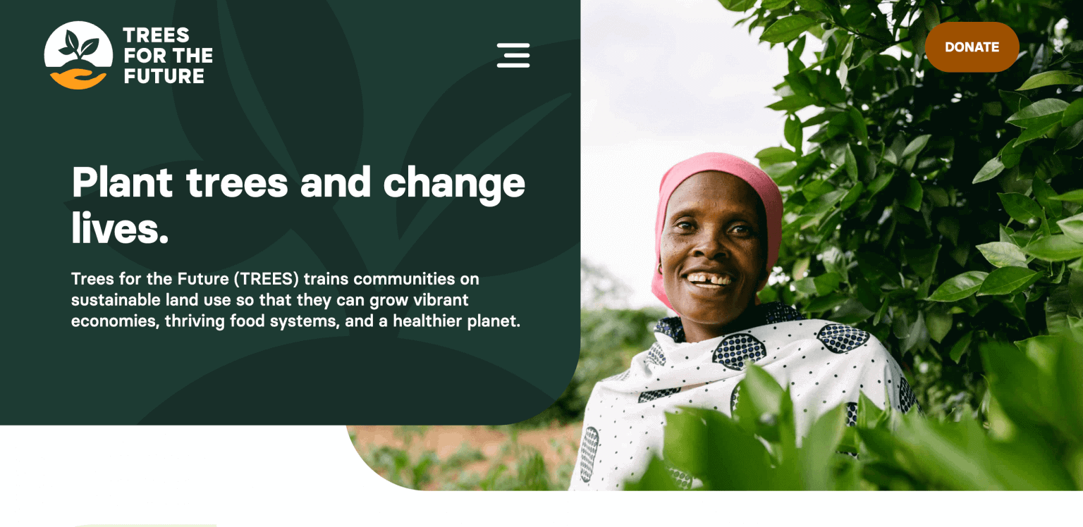 10 Best Tree Planting Organizations & Charities in 2022 Nonprofit Point