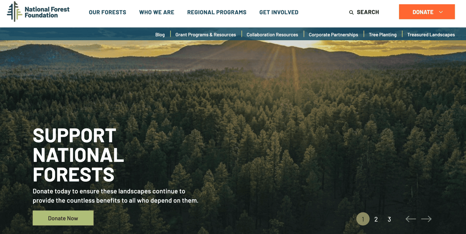 10 Best Tree Planting Organizations & Charities in 2022 Nonprofit Point