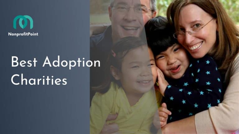 The 6 Best Adoption Charities for Your Next Adoption | Nonprofit Point