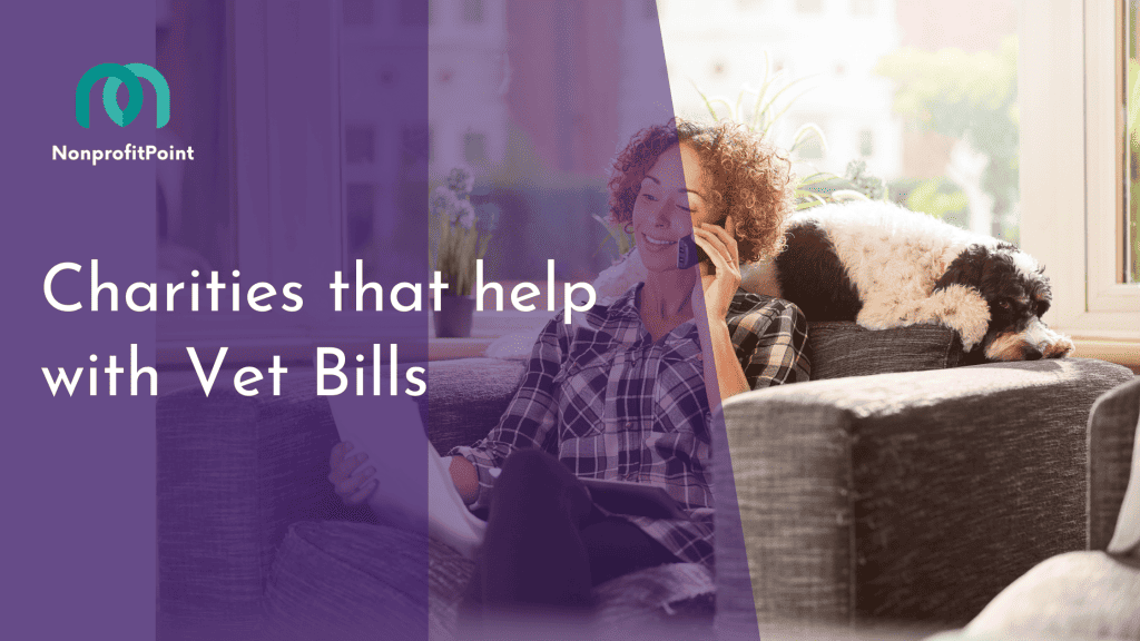 9 Best Charities that Help with Vet Bills Full List with Details