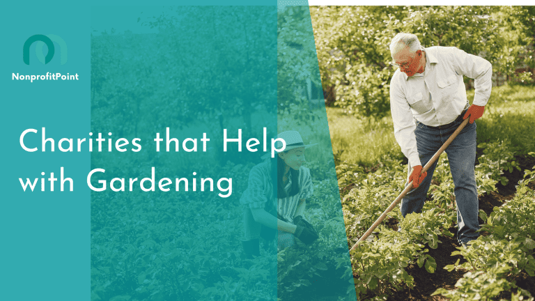 9 Best Charities that Help with Gardening | Full List with Details
