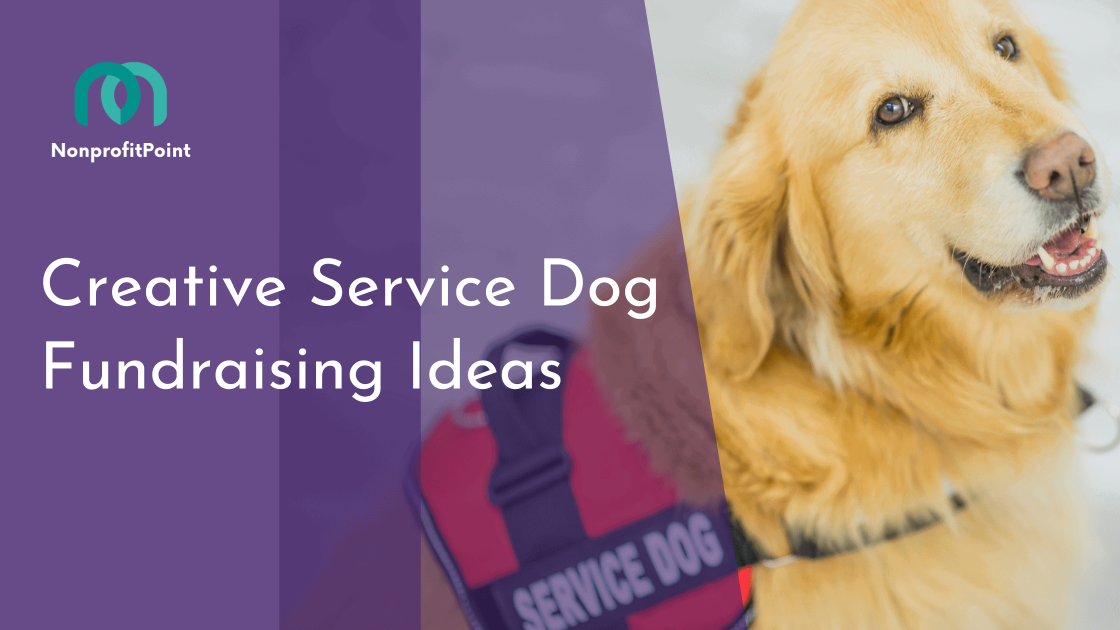 Creative Service Dog Fundraising Ideas