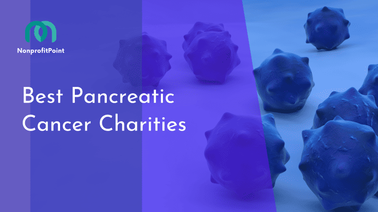 10 Best Pancreatic Cancer Charities to Donate to | Full List with Details