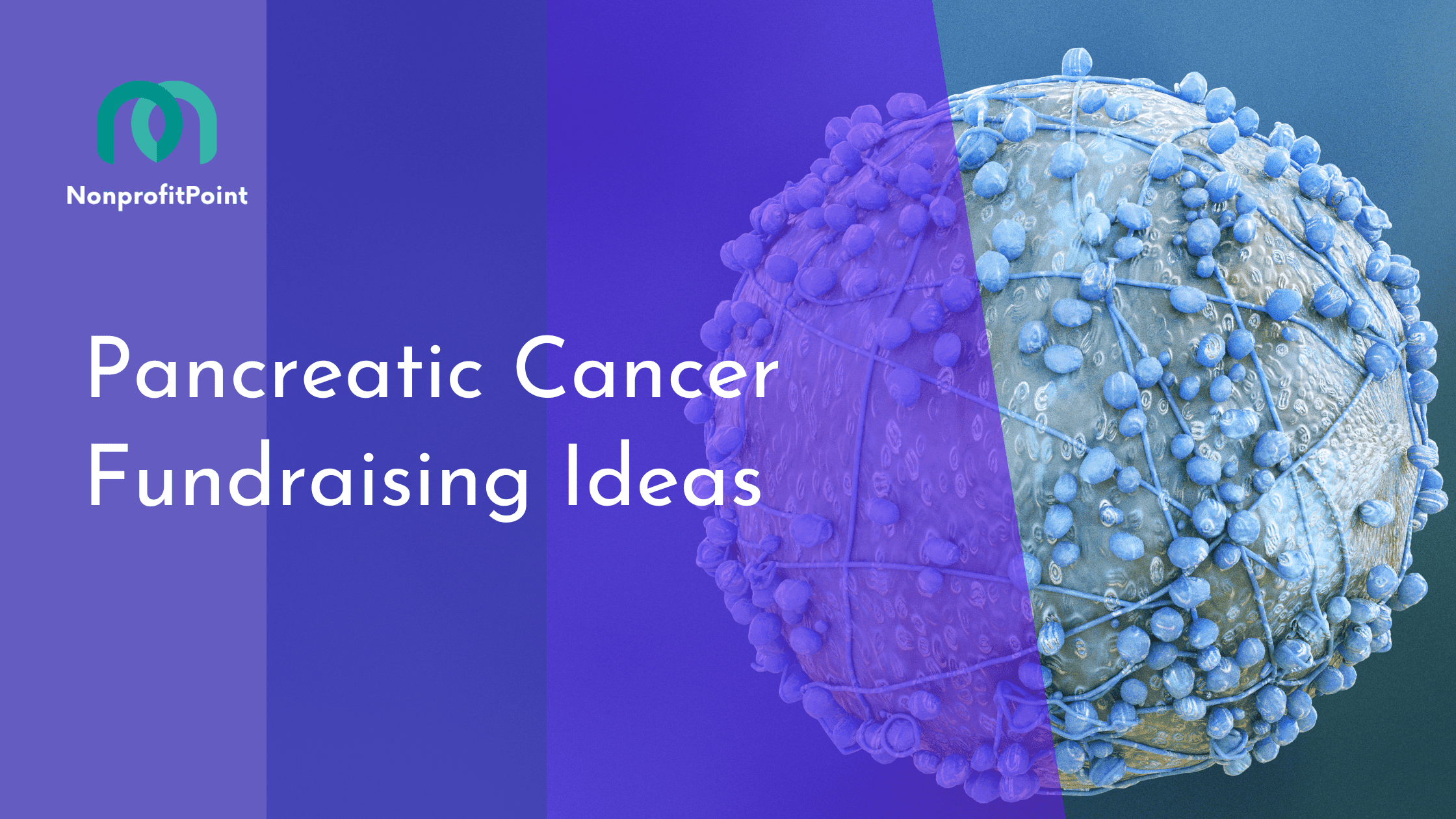 Pancreatic Cancer Fundraising Ideas