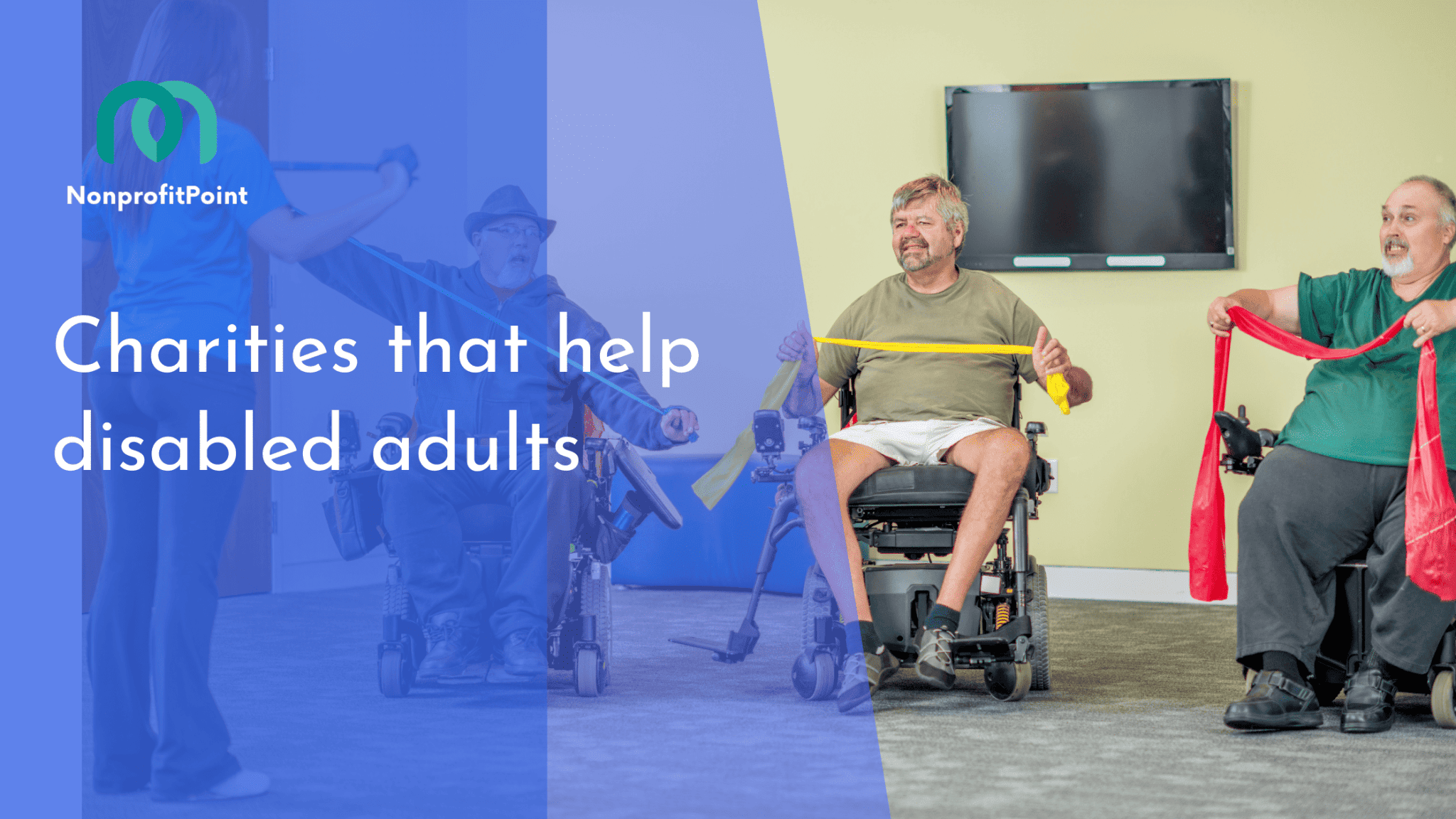 9 Best Palestinian Charities to Donate to | Full List with Details