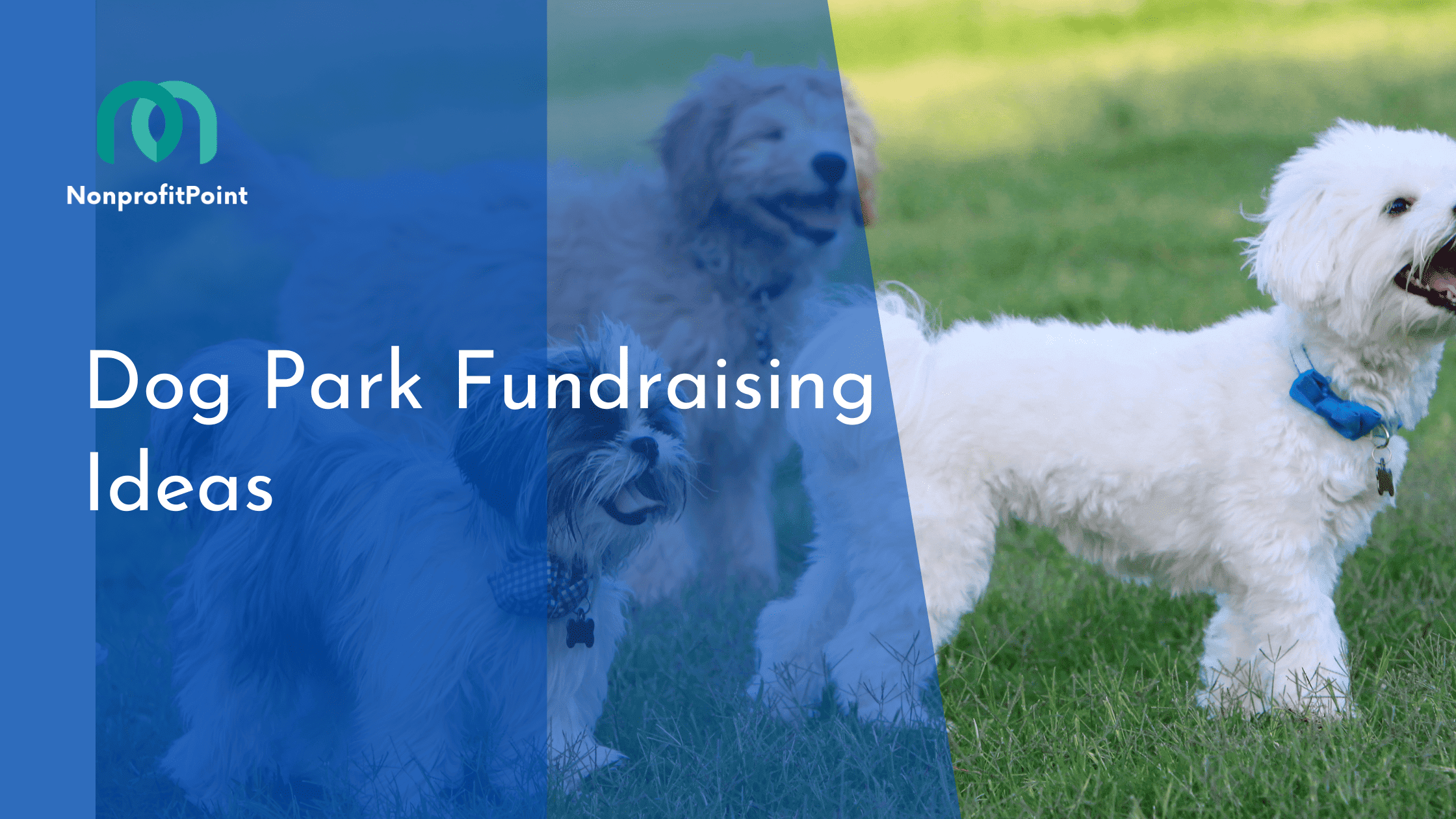 Dog Park Fundraising Ideas