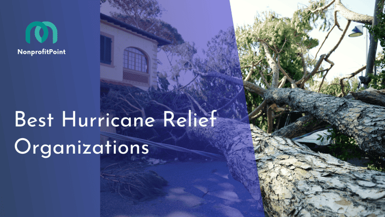 Weathering the Storm: Discover the 9 Best Hurricane Relief Organizations