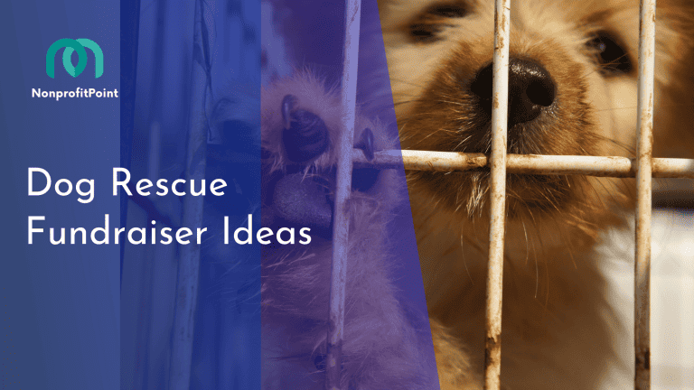 Top 12 Dog Rescue Fundraiser Ideas to Support Our Furry Friends (With Tips): Unleash Your Creativity