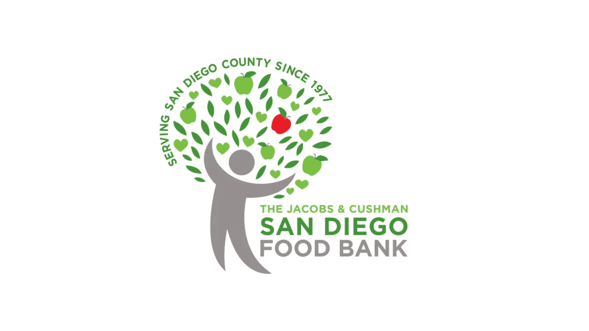 9 Best San Diego Charities to Donate Full List with Details