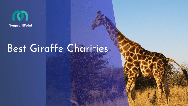 The 9 Best Giraffe Charities Saving a Species: Preserving the Majesty