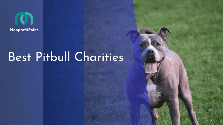 Discover the 9 Best Pitbull Charities: Changing Lives and Shattering Stereotypes