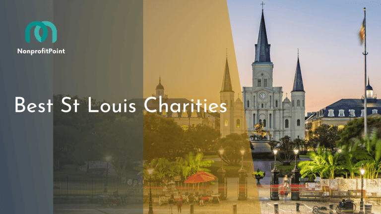 9 Best St Louis Charities to Donate to | Full List with Details