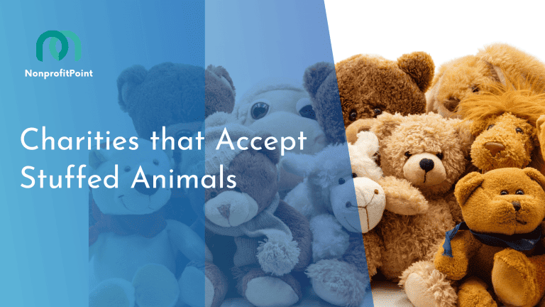 9 Best Charities that Accept Stuffed Animals | Full List with Details