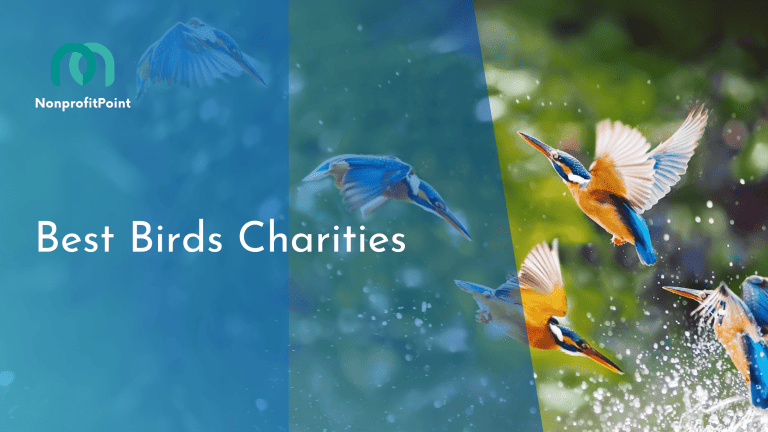 9 Best Bird Charities: Unleash your Philanthropic Wings for Avian Conservation