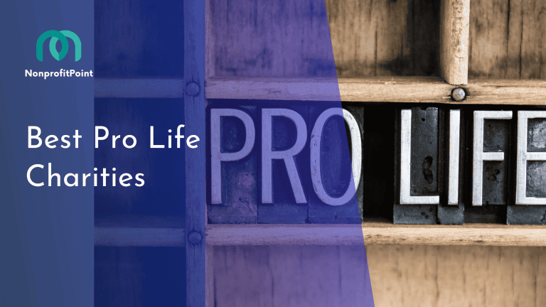 9 Best Pro-Life Charities Making a Real Impact | Guide to Conscious Giving