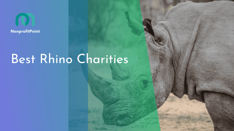 A Guide to the 9 Best Rhino Charities: Guardians of the Rhinoceros