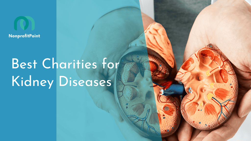 Best Charities for Kidney Diseases