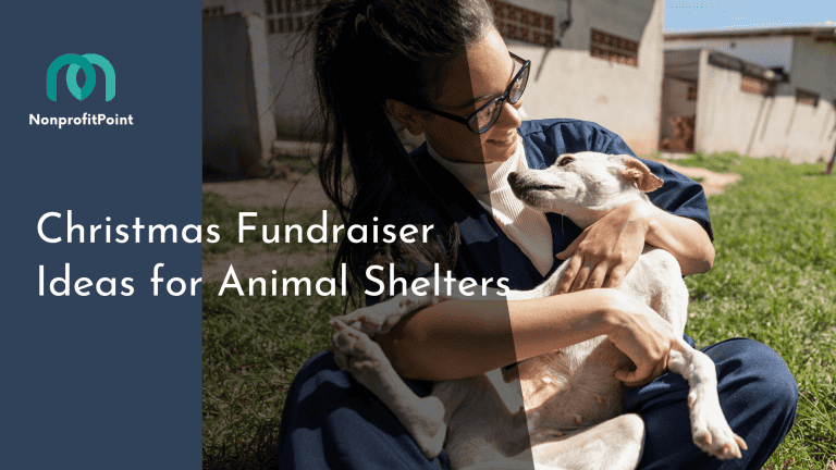 18 Creative Christmas Fundraiser Ideas for Animal Shelters