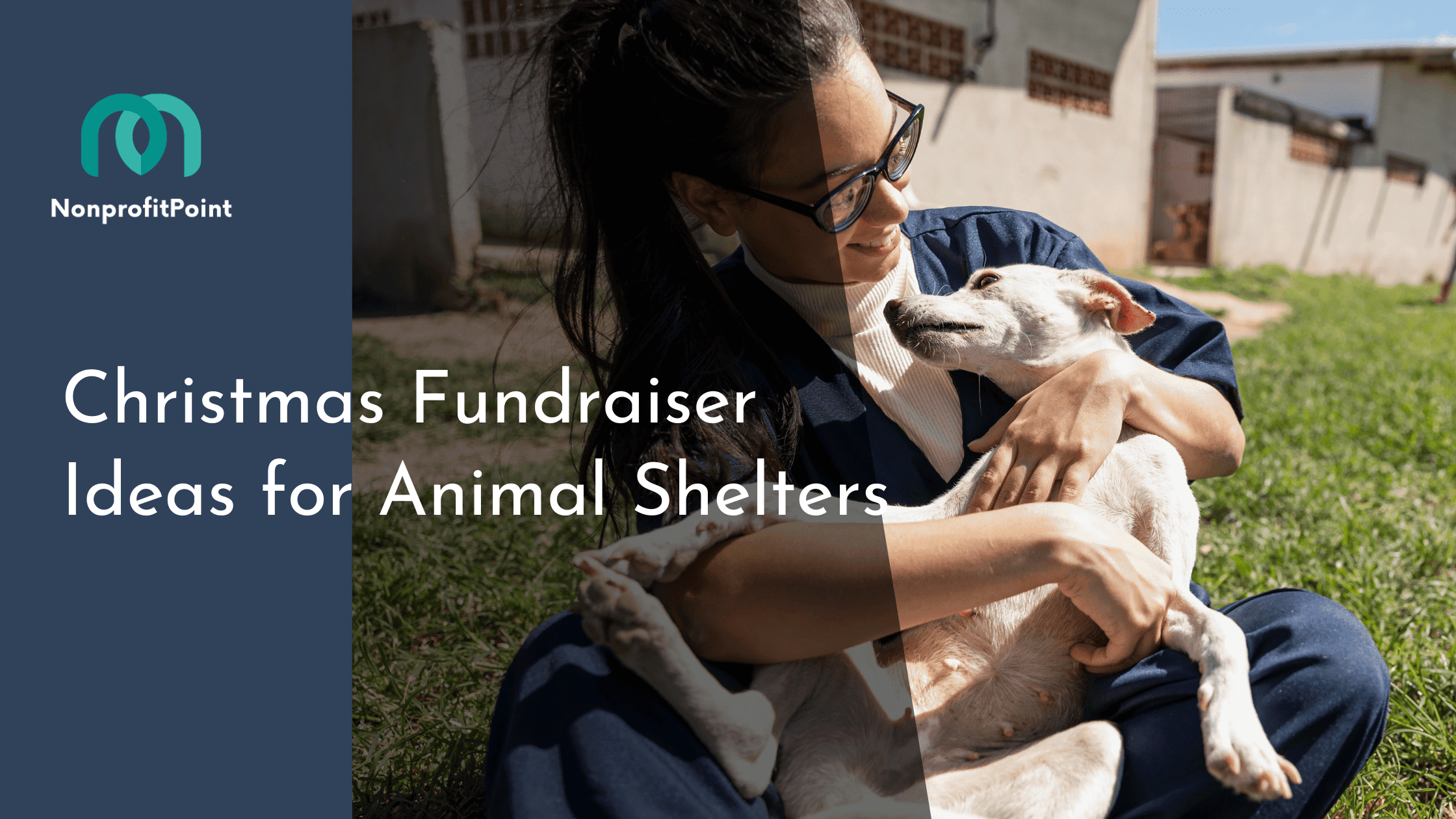 Christmas Fundraiser Ideas for Animal Shelters