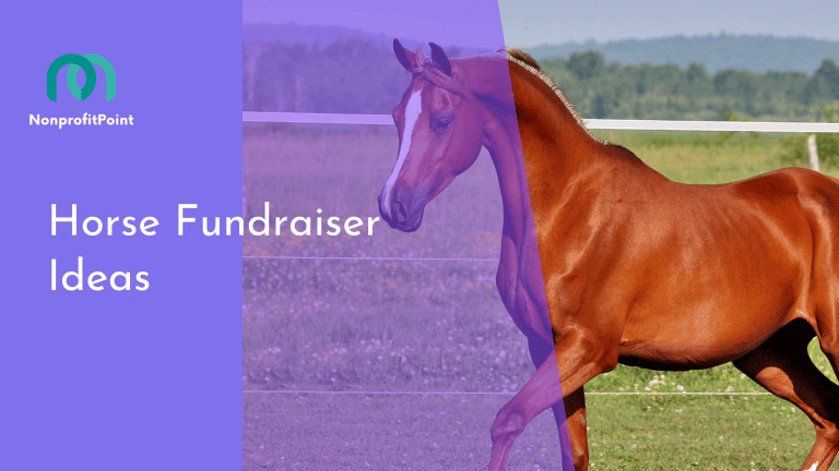 10 Unique Horse Fundraiser Ideas to Boost Your Efforts in 2024