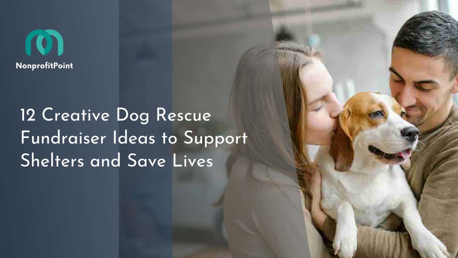 12 Creative Dog Rescue Fundraiser Ideas to Support Shelters and Save Lives