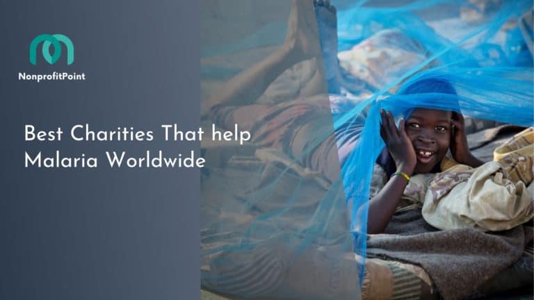 Top 9 Best Charities That help Malaria Worldwide | How to Support the Cause