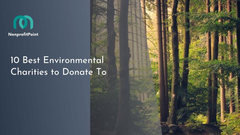 10 Best Environmental Charities to Donate to in 2026 | Vetted List