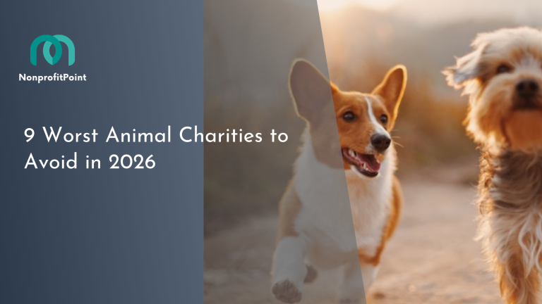 Worst Animal Charities to Avoid in 2026 (And Better Alternatives)